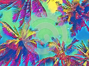 Palm tree crown with green leaves on rainbow sky. Coco palm tree top digital illustration. Fantastic poster.