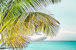 Palm tree and a cruise ship in the Caribbean