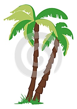 Palm tree in the drawing