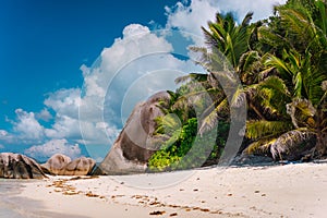 Palm tree at famous paradise Anse Source d`Argent beach at La Digue, Seychelles