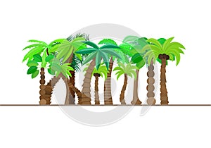 Palm tree, forest, jungle isolated in caricature style, set on a white background. Vector illustration.