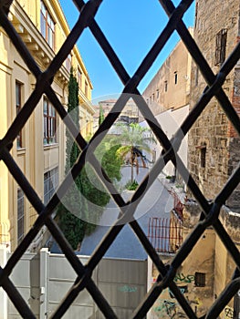 palm tree through the grates of a window