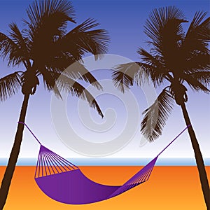 A Palm Tree and Hammock Beach Scene