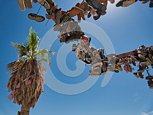 Palm tree and hanging shoes on steel construction