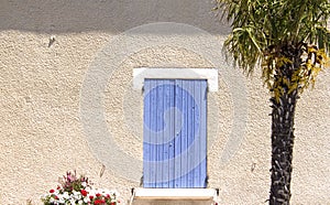 Palm tree, house with shutter.