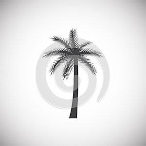 Palm tree icon on background for graphic and web design. Simple illustration. Internet concept symbol for website button