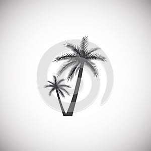 Palm tree icon on background for graphic and web design. Simple illustration. Internet concept symbol for website button