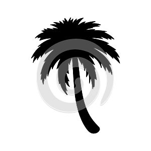 Palm tree icon coconut tree vector logo symbol sign tropical summer beach character cartoon illustration design