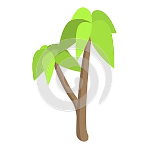 Palm tree icon, isometric style