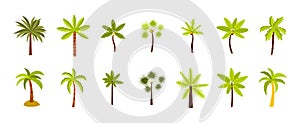 Palm tree icon set, flat style