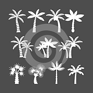 Palm tree icon set, vector eps10