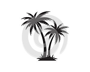 Palm tree icon template vector illustration