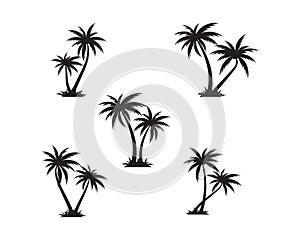 Palm tree icon template vector illustration