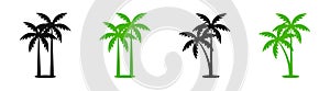 Palm tree icons. Vector palm icons. Tropical tree silhouettes