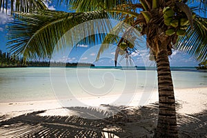 Idyllic beach in Isle of Pines, New Caledonia