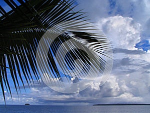 Palm tree leaf, sea and cloudscape