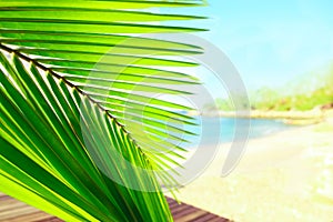 Palm tree leaves over peaceful tropical beach background, blue sea landscape card