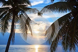 Palm tree leaves silhouette, sunset on blue sea background, tropical sunrise seascape, bright yellow sun glow reflection on water