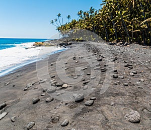 Palm Tree Lined Pohoiki Black Sand Beach