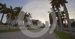 Palm tree lined road Downtown Miami FL forward gimbal motion 4k 60p