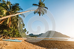 Palm tree and local boat at golden sunset light. El Nido bay. Palawan. Philippines