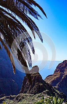 Palm Tree and Mountain in Masca Valley, Tenerife