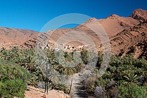 Palm tree oasis in Ait Mansour valley