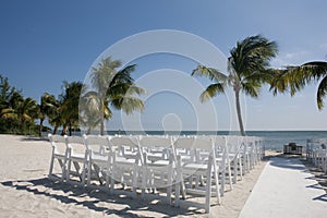 Palm tree and ocean