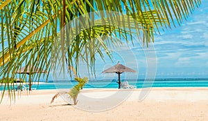 Palm tree and palm tree umbrellas on exotic sandy beach