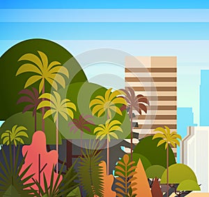 Palm Tree Park Over City Buildings Skyscrapers Background Summer Cityscape On Sunset View