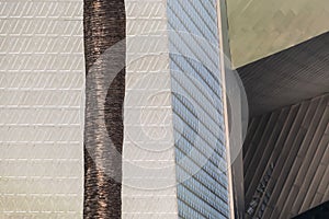 Palm Tree is part of Las Vegas architectural design