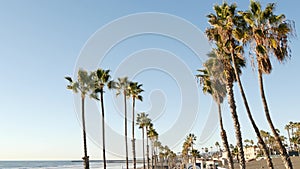 Palm tree perspective in Oceanside, California waterfront pacific ocean tropical beach resort, USA.