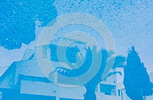 Palm tree reflection