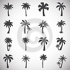 Palm tree related icon set on background for graphic and web design. Simple illustration. Internet concept symbol for