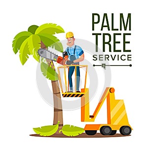 Palm Tree Care Vector. Trimming Tree Or Removal To Tree Pruning. Isolated On White Cartoon Character Illustration