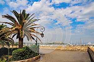 Palm tree and road on embankment near port of Antibes, France. Fort Carre on background