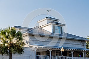 Palm Tree by Roof and Cupola