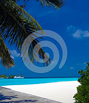 Palm tree, Sand beach and ocean boats