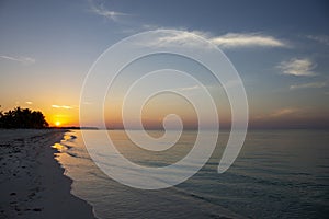 Palm tree sandy beach sunrise