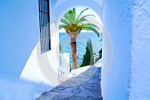 Palm tree and sea seen trough a arch in a white wall. Spain. Nerja