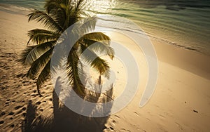 Palm tree on the seashore, ocean, summer landscape, generative ai