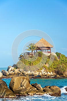 Palm Tree and Shack photo