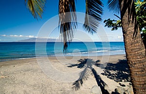 Palm Tree Shadow on Beach