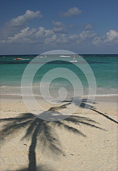 Palm tree shadow on beach