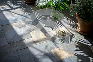 Palm Tree Shadow Patterns on Stone Floor