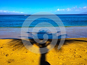 Palm Tree Shadow on Sand at Low Tide