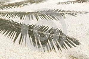 Palm tree shadow on sand of tropical beach