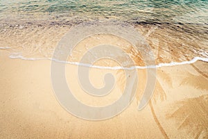 Palm tree shadow on the sandy beach with ocean wave