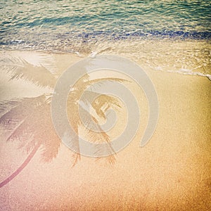 Palm tree shadow on the sandy beach with ocean wave