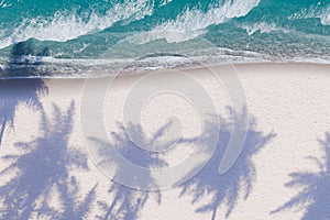 Palm Tree Shadows on a White Sandy Beach by Turquoise Sea